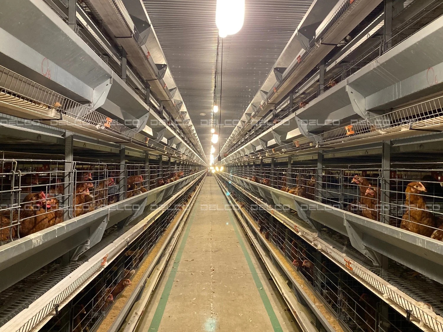 Farm Expansion
