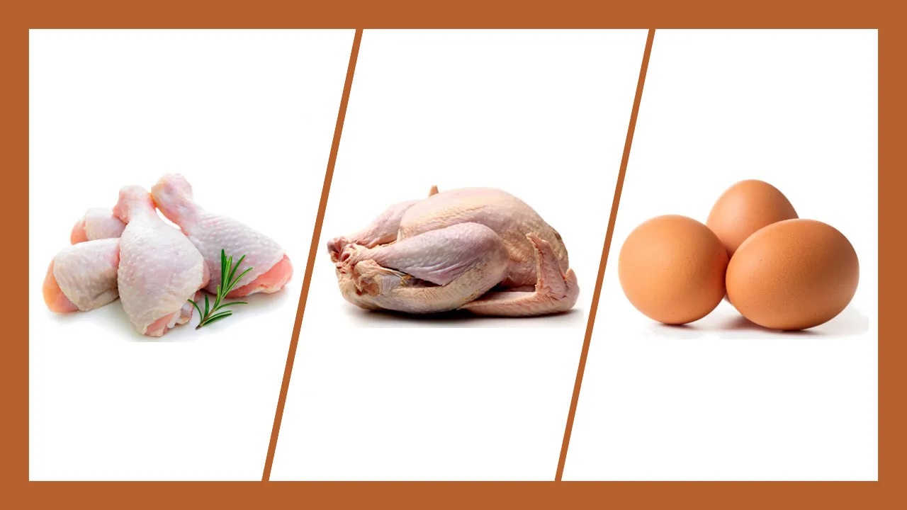 Fresh Eggs